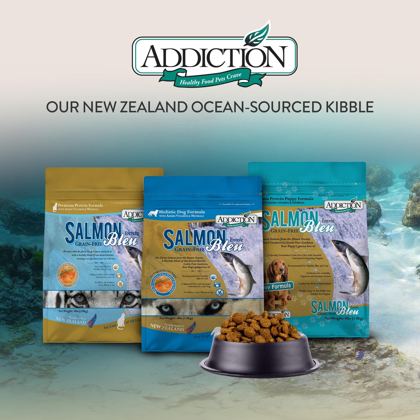 Addiction Salmon Bleu, Complete & Balanced, Skin & Coat Dry Cat Food