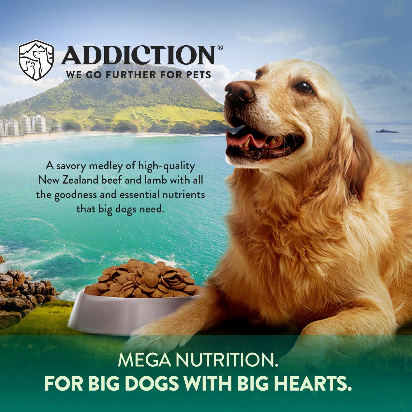 Addiction MEGA, Complete & Balanced, Lamb & Beef Dry Dog Food