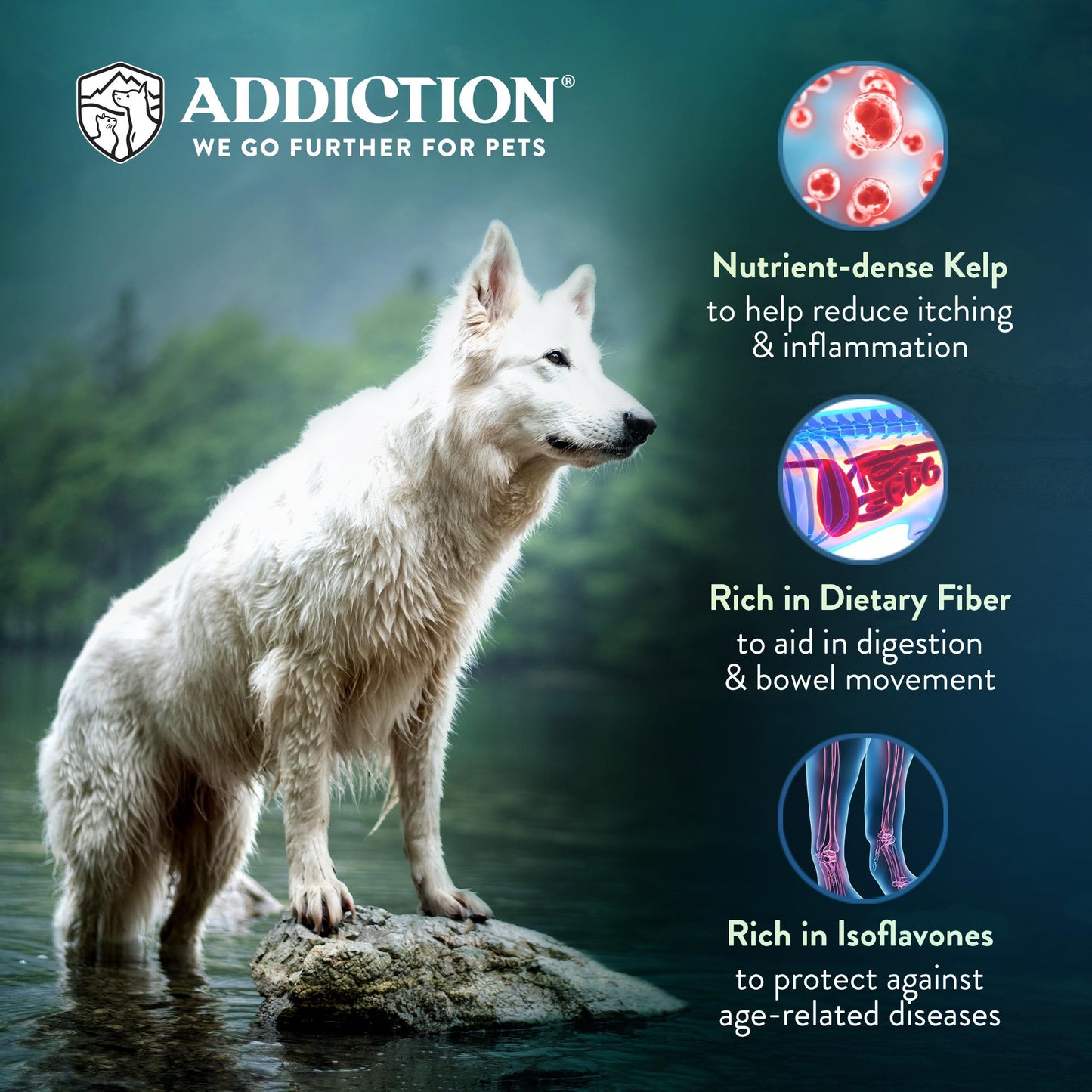 Addiction Zen Vegetarian, Sensitive Care, Vegan Dry Dog Food
