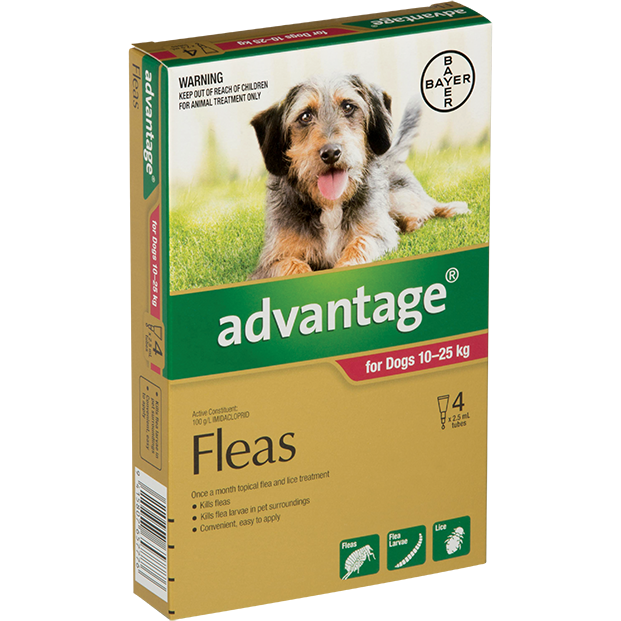 Advantage Large Dog (10-25kg)