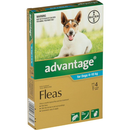 Advantage Medium Dog (4-10kg)