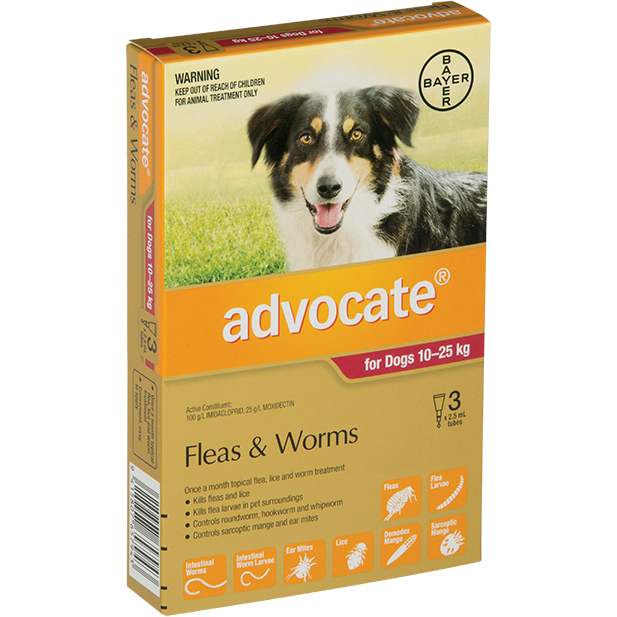 Advocate Large Dog (10-25kg)