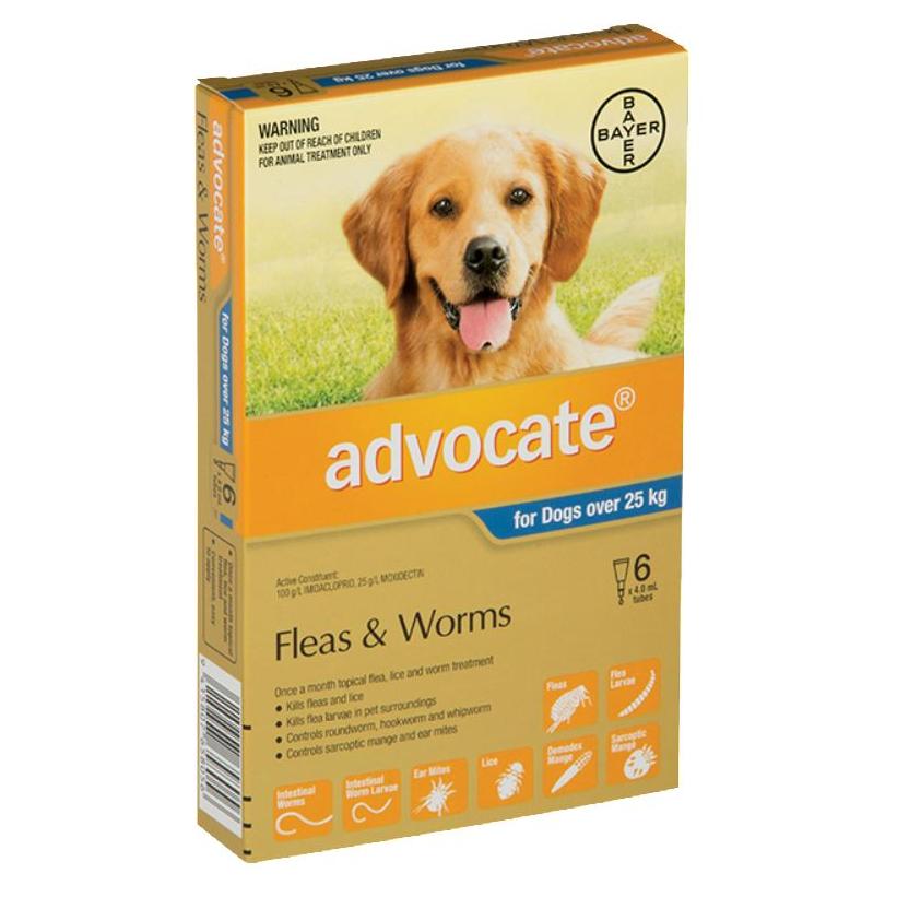 Advocate X Large Dog (25kg+)