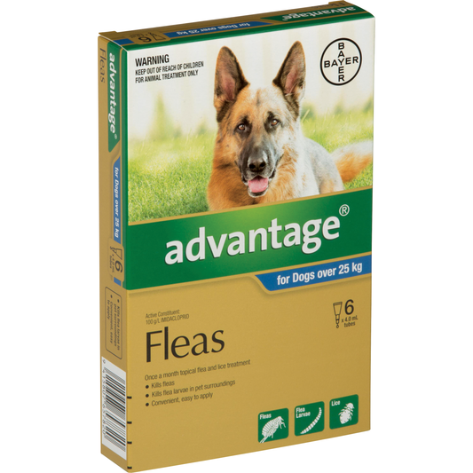 Advantage X Large Dog (25kg+)