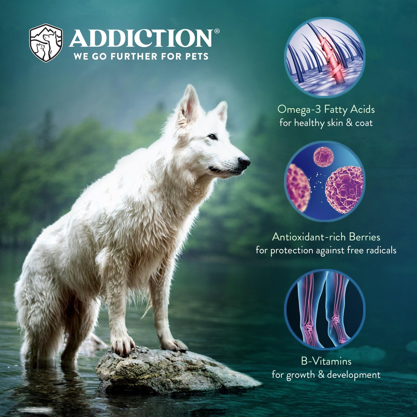 Addiction MEGA, Complete & Balanced, Lamb & Beef Dry Dog Food