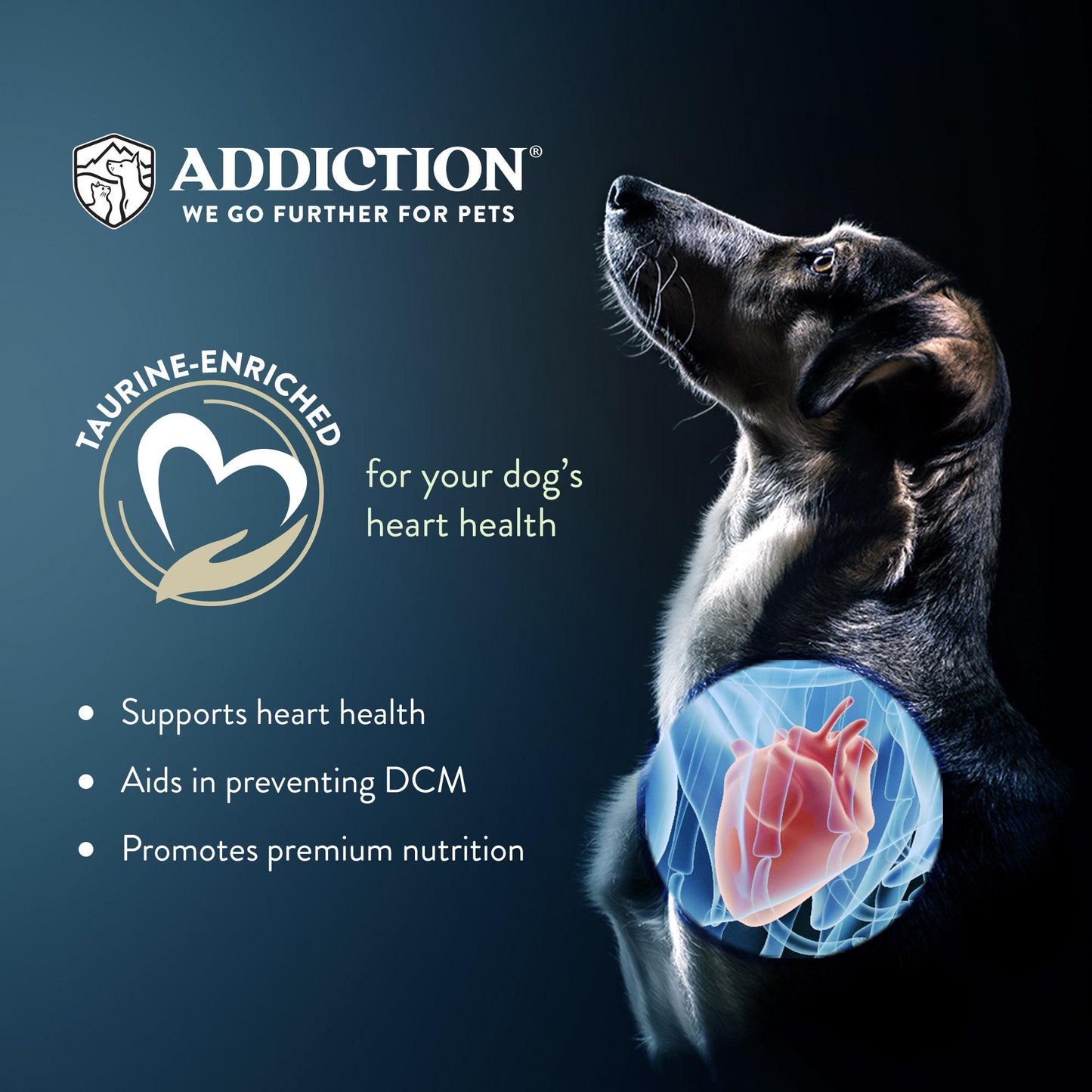 Addiction MEGA, Complete & Balanced, Lamb & Beef Dry Dog Food