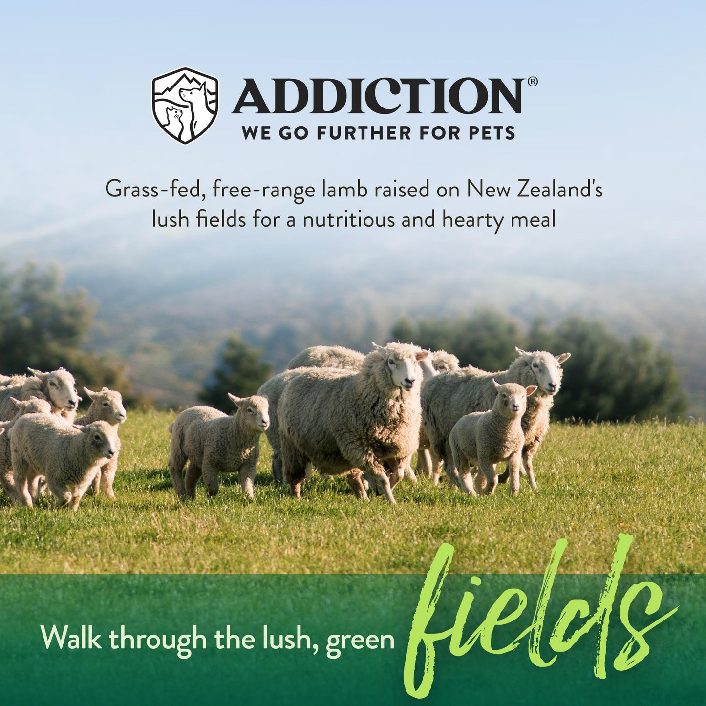 Addiction Le Lamb, Complete & Balanced, Digestive Health Dry Dog Food