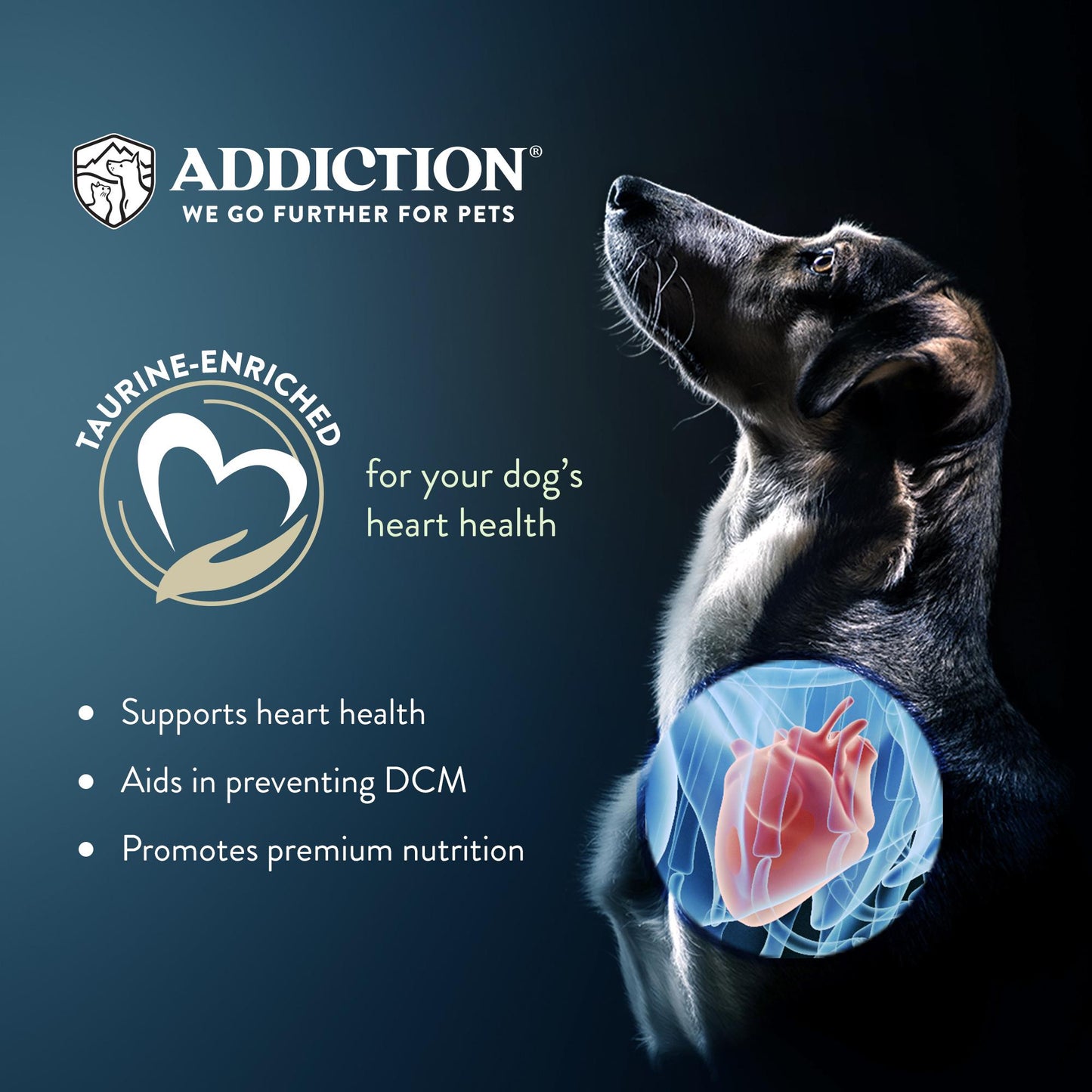 Addiction Le Lamb, Complete & Balanced, Digestive Health Dry Dog Food