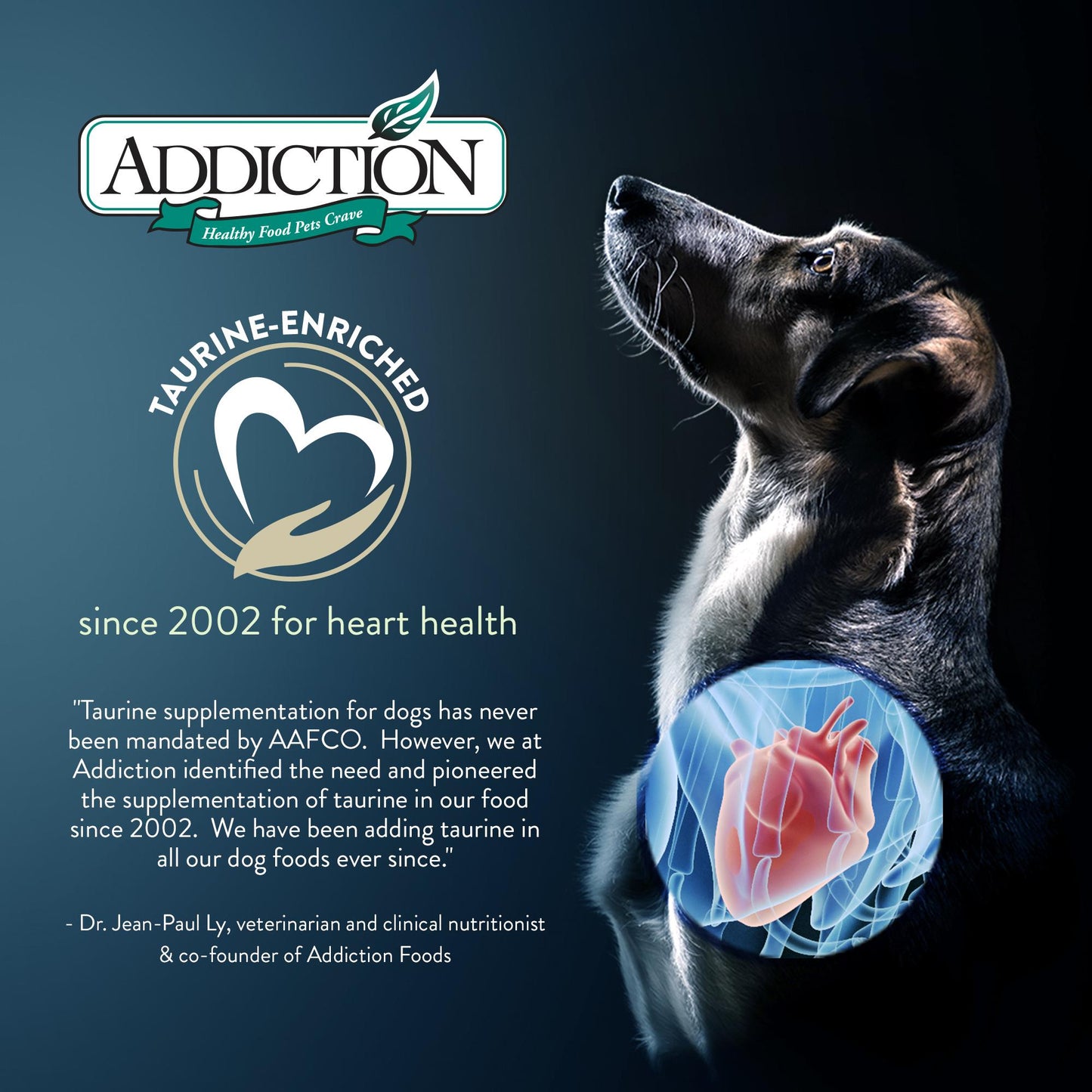 Addiction Le Lamb, Complete & Balanced, Digestive Health Dry Dog Food