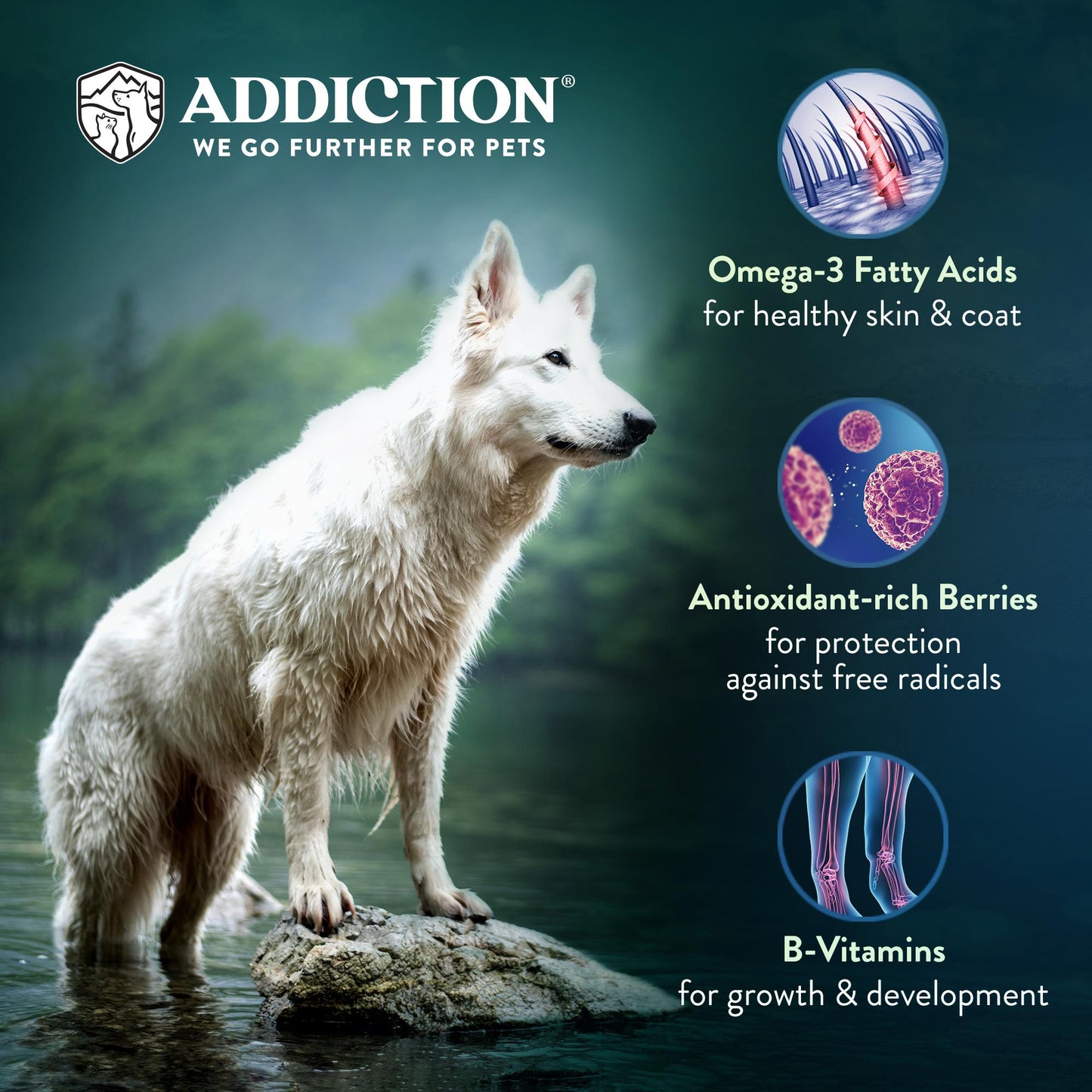 Addiction Salmon Bleu, Complete & Balanced, Skin & Coat Dry Dog Food