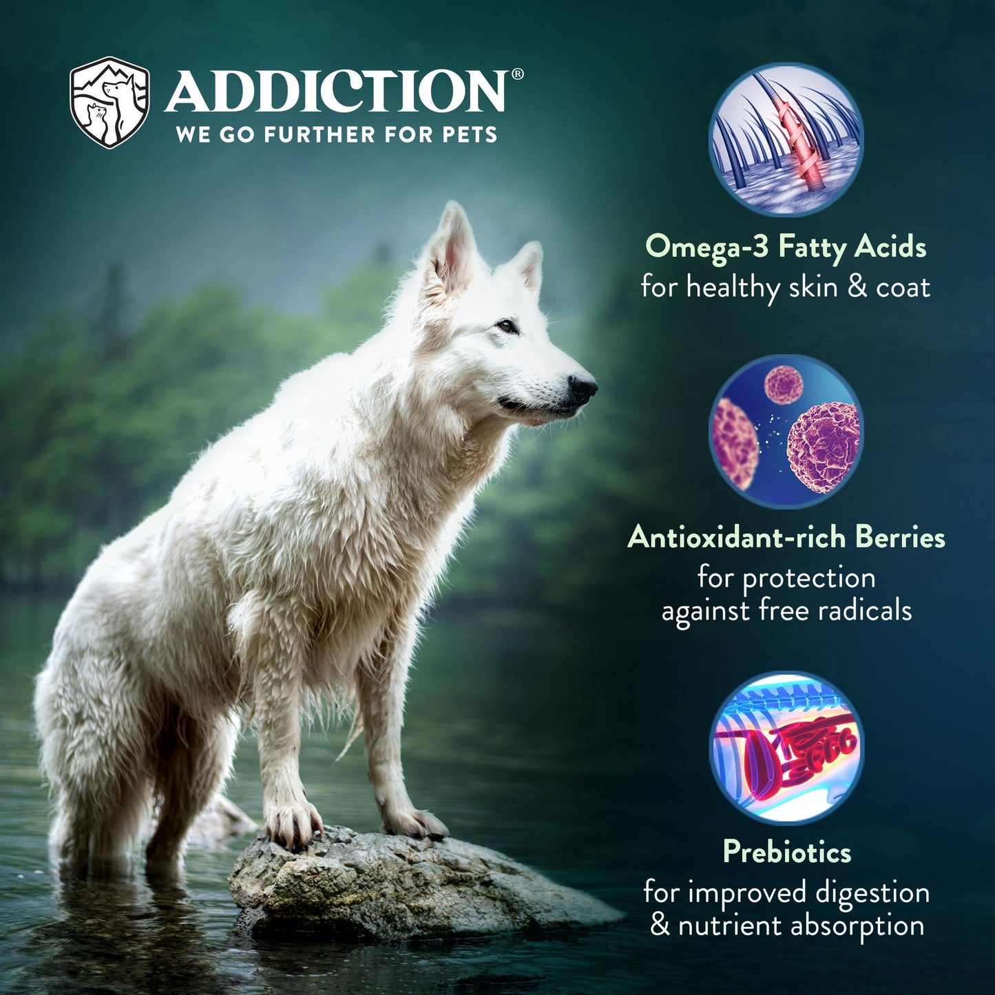 Addiction Le Lamb, Complete & Balanced, Digestive Health Dry Dog Food
