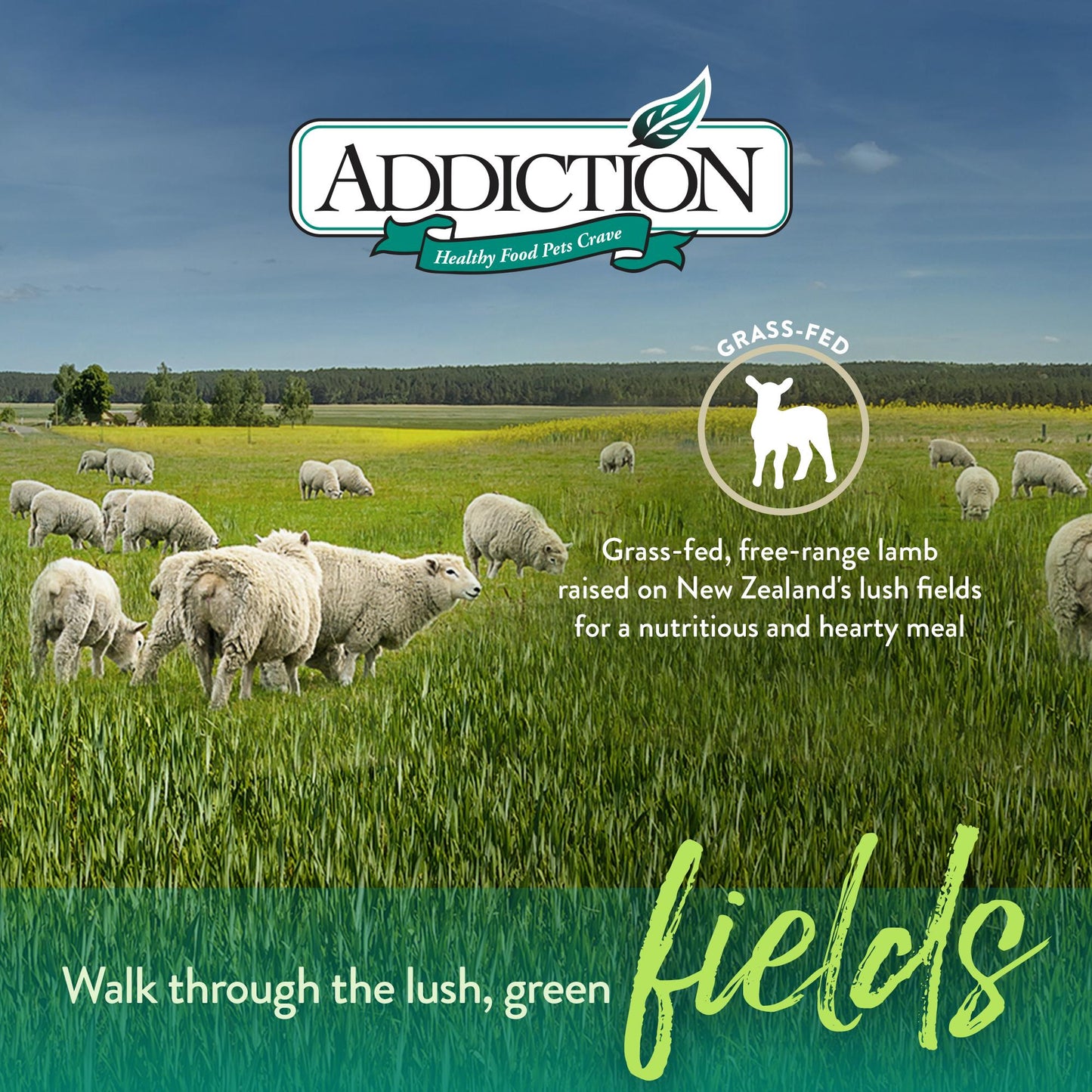 Addiction Le Lamb, Complete & Balanced, Digestive Health Dry Dog Food
