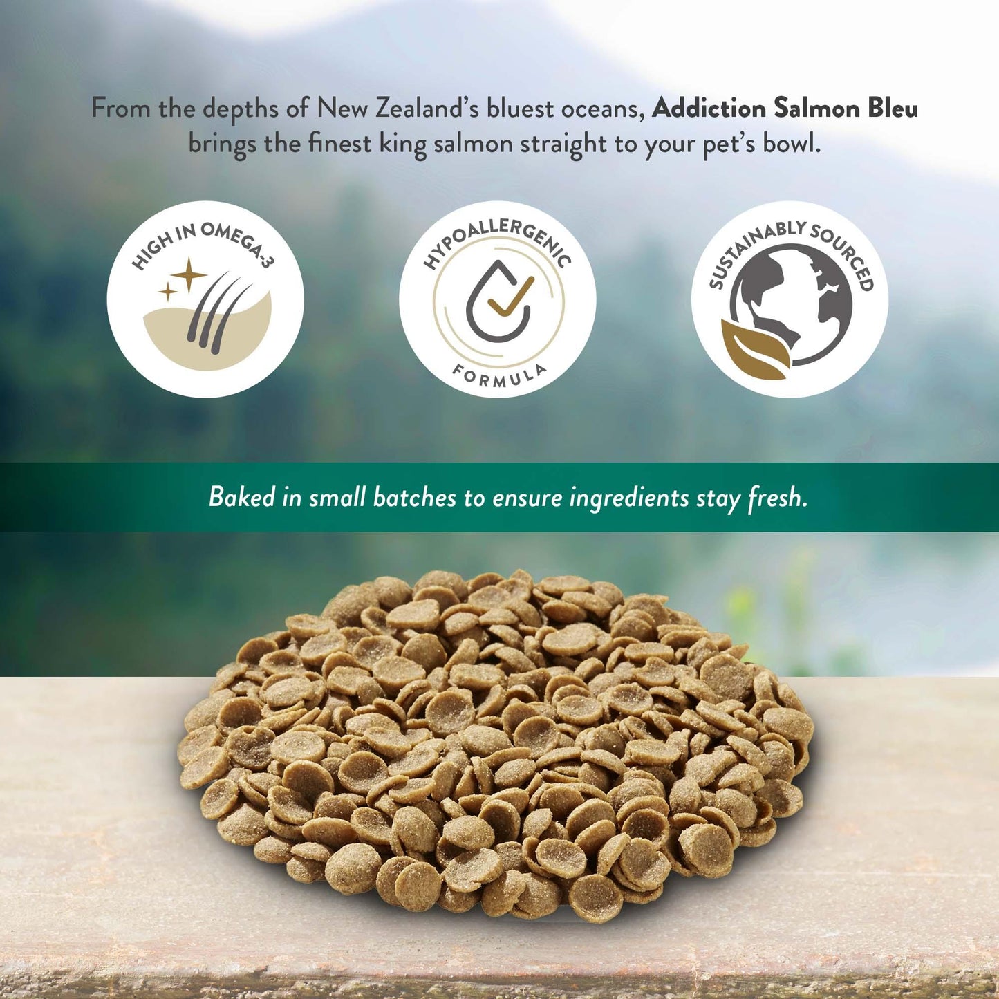 Addiction Salmon Bleu, Complete & Balanced, Skin & Coat Dry Dog Food