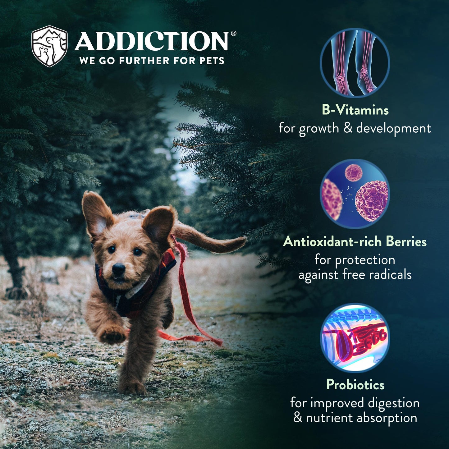 Addiction Salmon Bleu, Complete & Balanced, Skin & Coat Dry Puppy Food