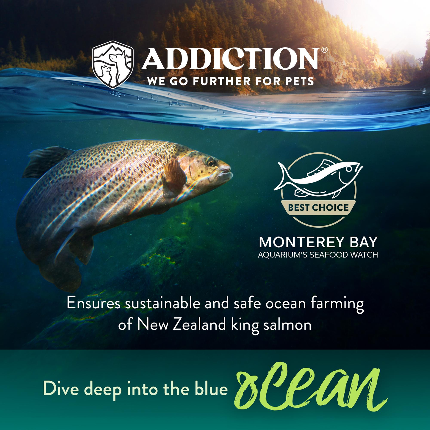 Addiction Salmon Bleu, Complete & Balanced, Skin & Coat Dry Puppy Food