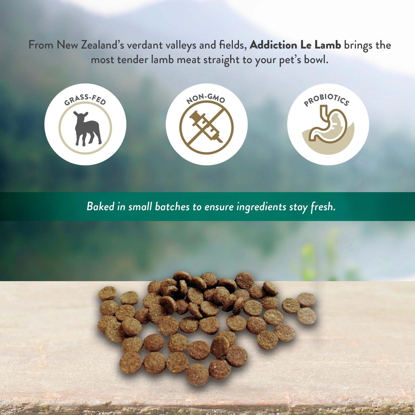 Addiction Le Lamb, Complete & Balanced, Digestive Health Dry Dog Food