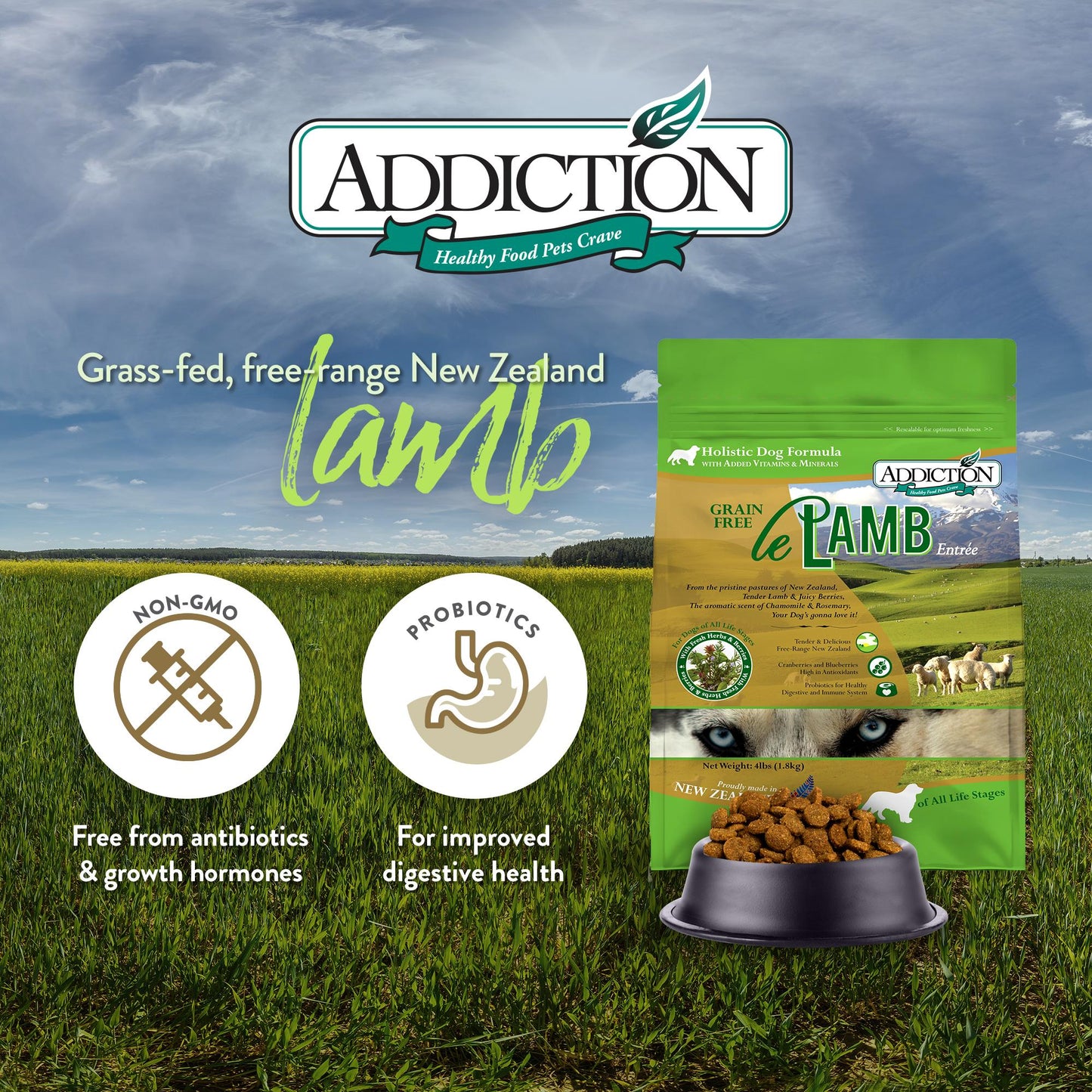 Addiction Le Lamb, Complete & Balanced, Digestive Health Dry Dog Food