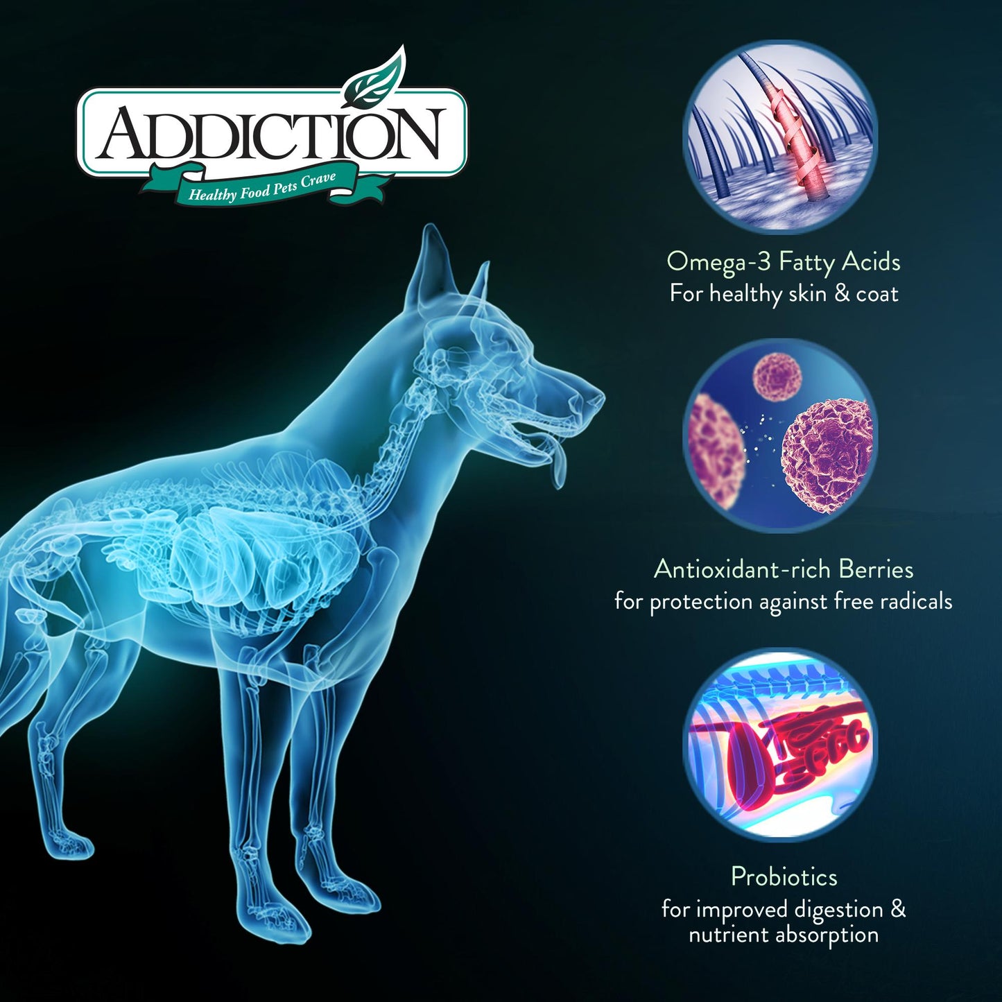 Addiction Le Lamb, Complete & Balanced, Digestive Health Dry Dog Food