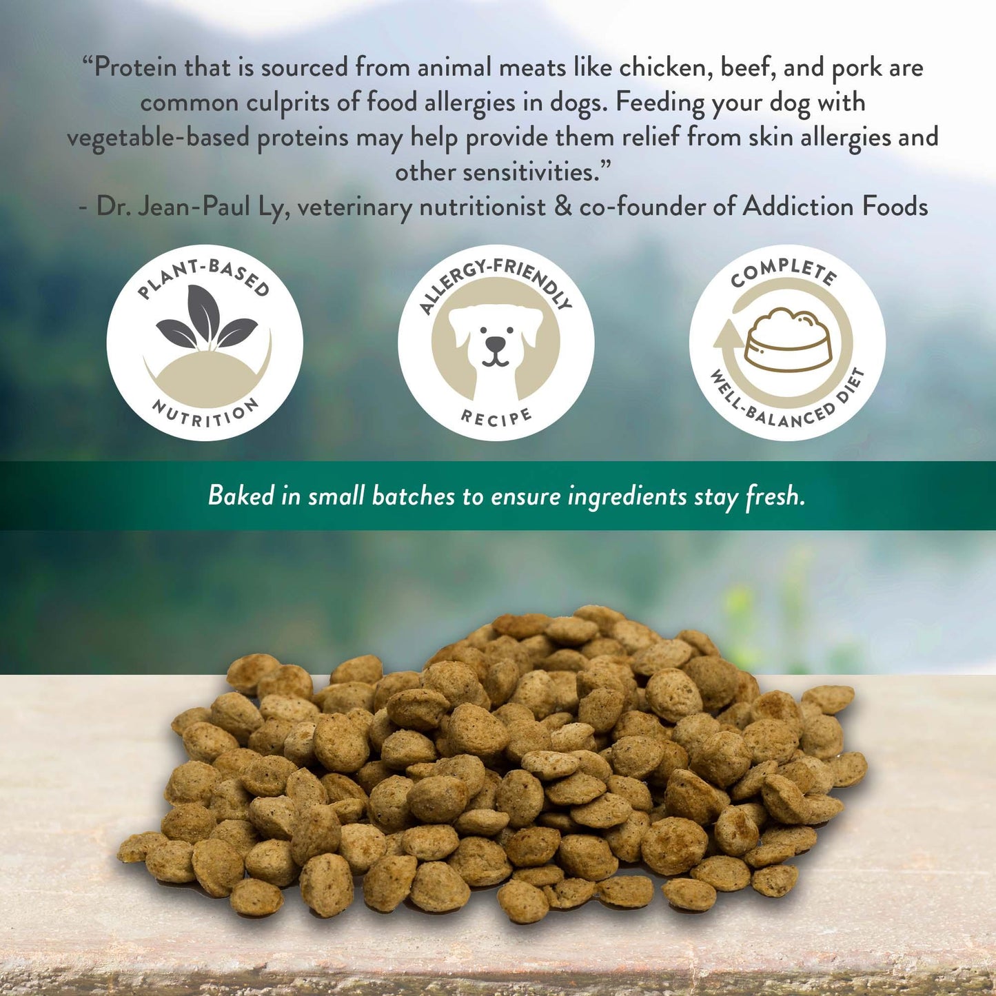 Addiction Zen Vegetarian, Sensitive Care, Vegan Dry Dog Food