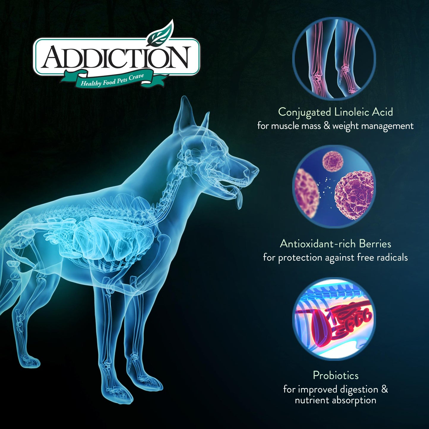 Addiction Viva La Venison, Sensitive Care, Novel Protein Dry Dog Food