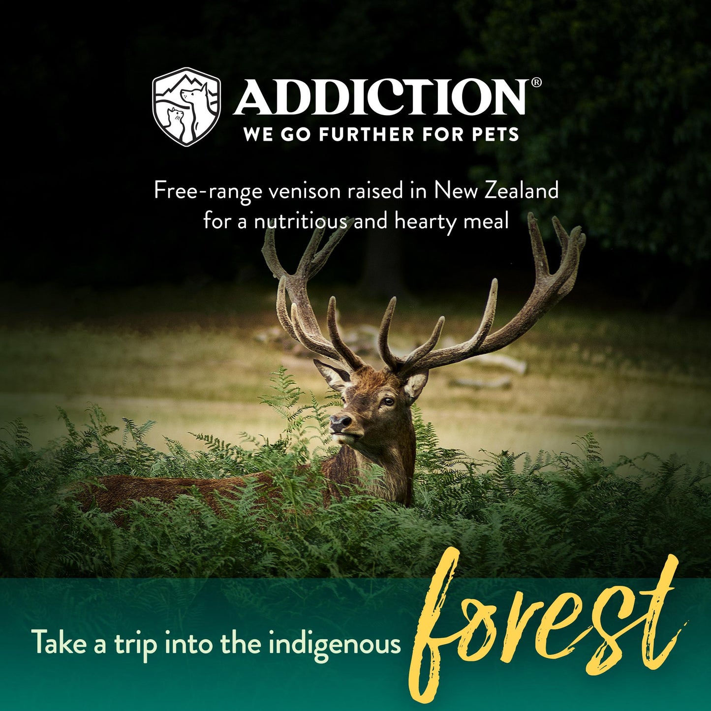 Addiction Venison Meaty Bites, Limited Ingredients Grain-Free Dog Treats