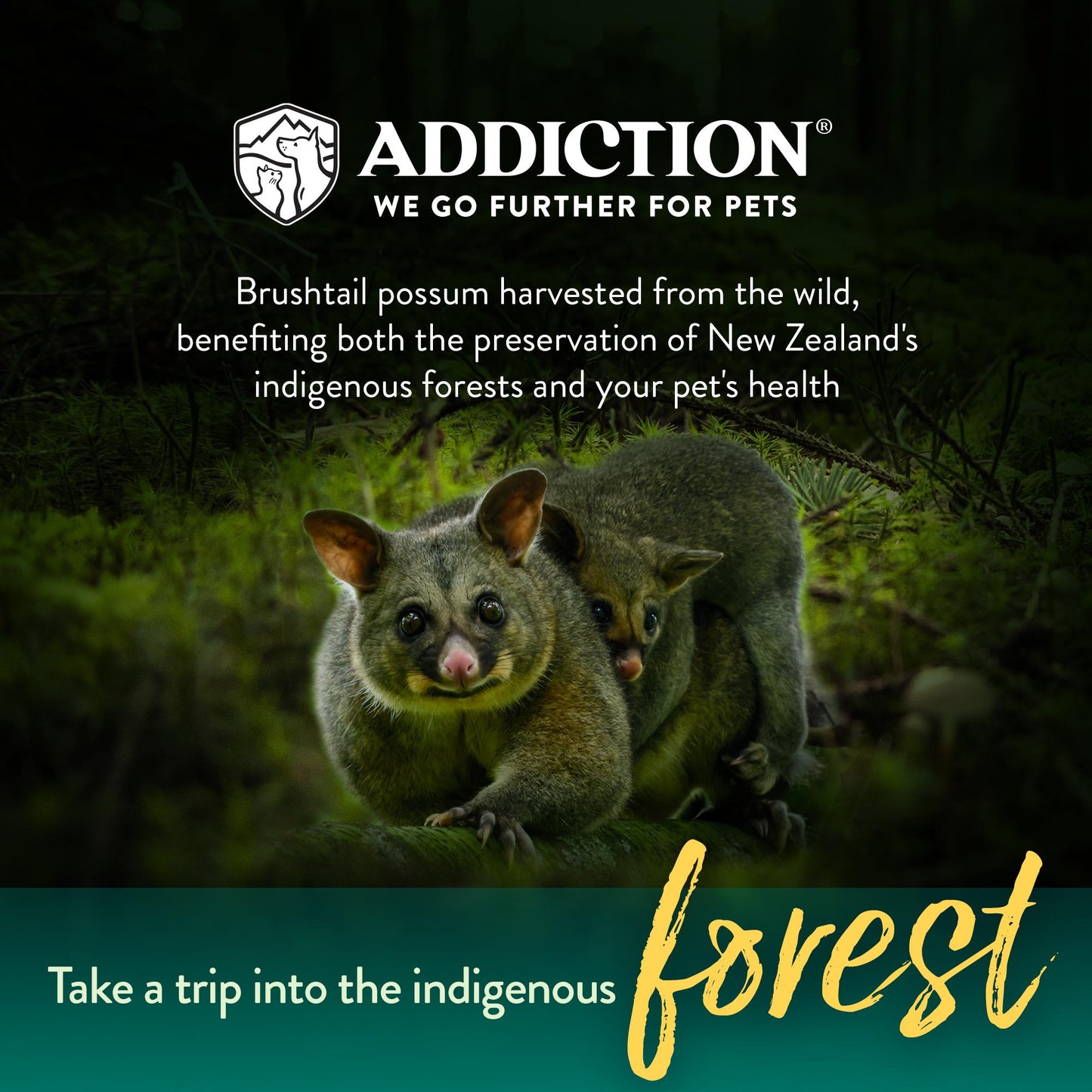Addiction Wild Brushtail Meaty Bites, Limited Ingredients Grain-Free Dog Treats