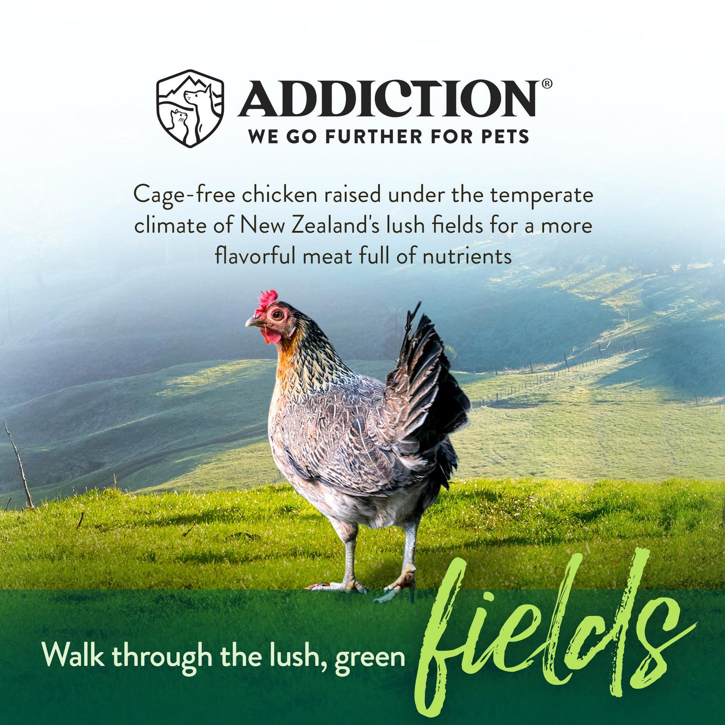 Addiction Chicken Meaty Bites, Limited Ingredients Grain-Free Dog Treats