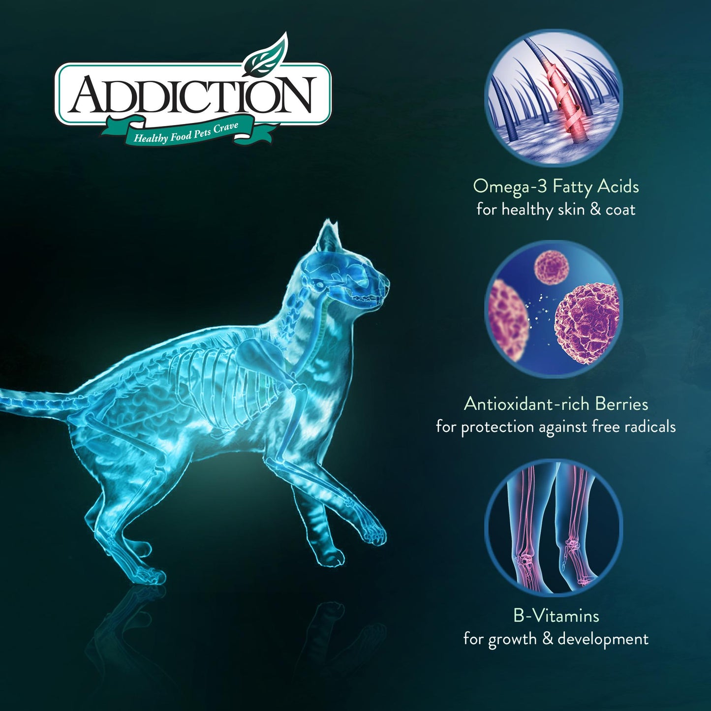 Addiction Salmon Bleu, Complete & Balanced, Skin & Coat Dry Cat Food