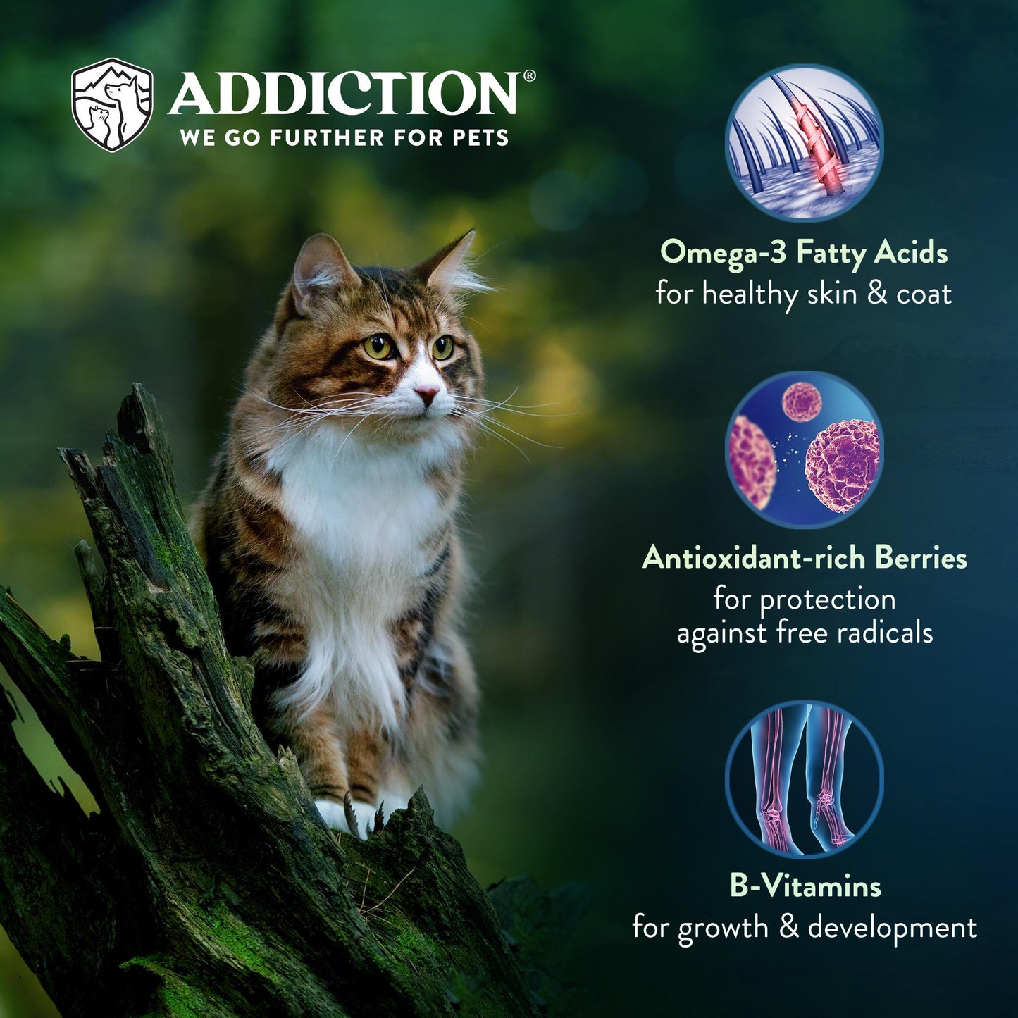 Addiction Salmon Bleu, Complete & Balanced, Skin & Coat Dry Cat Food