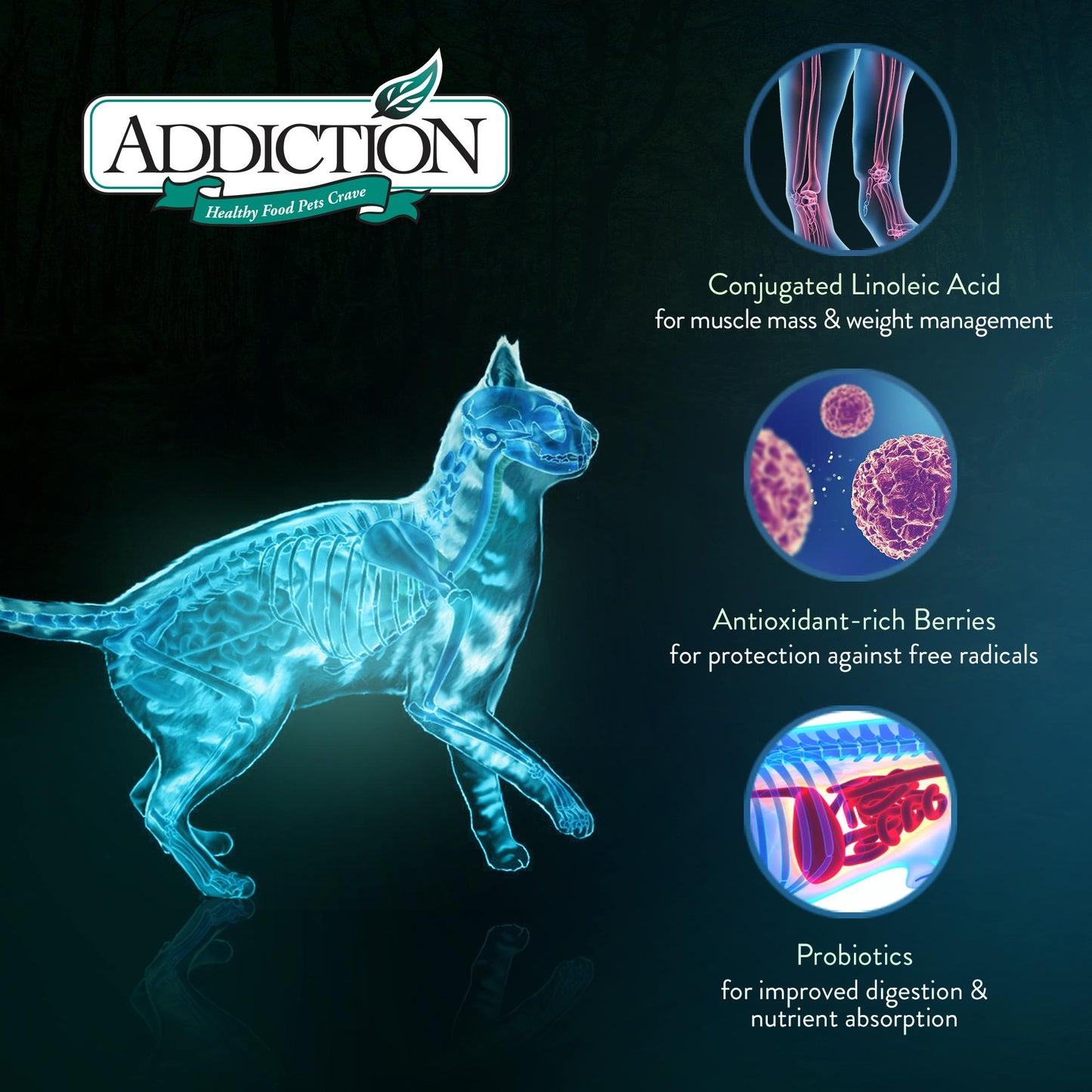 Addiction Viva La Venison Grain Free Dry Cat Food