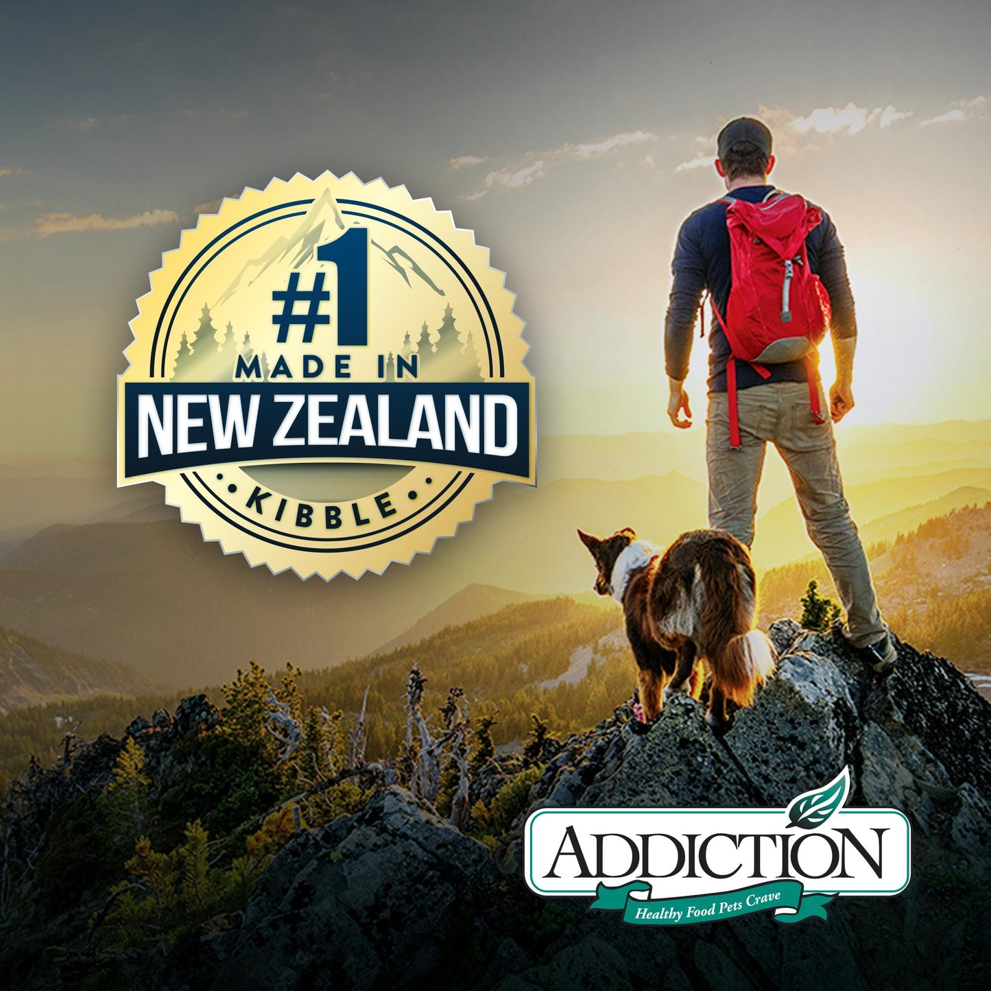 Addiction Viva La Venison Grain Free Dry Cat Food
