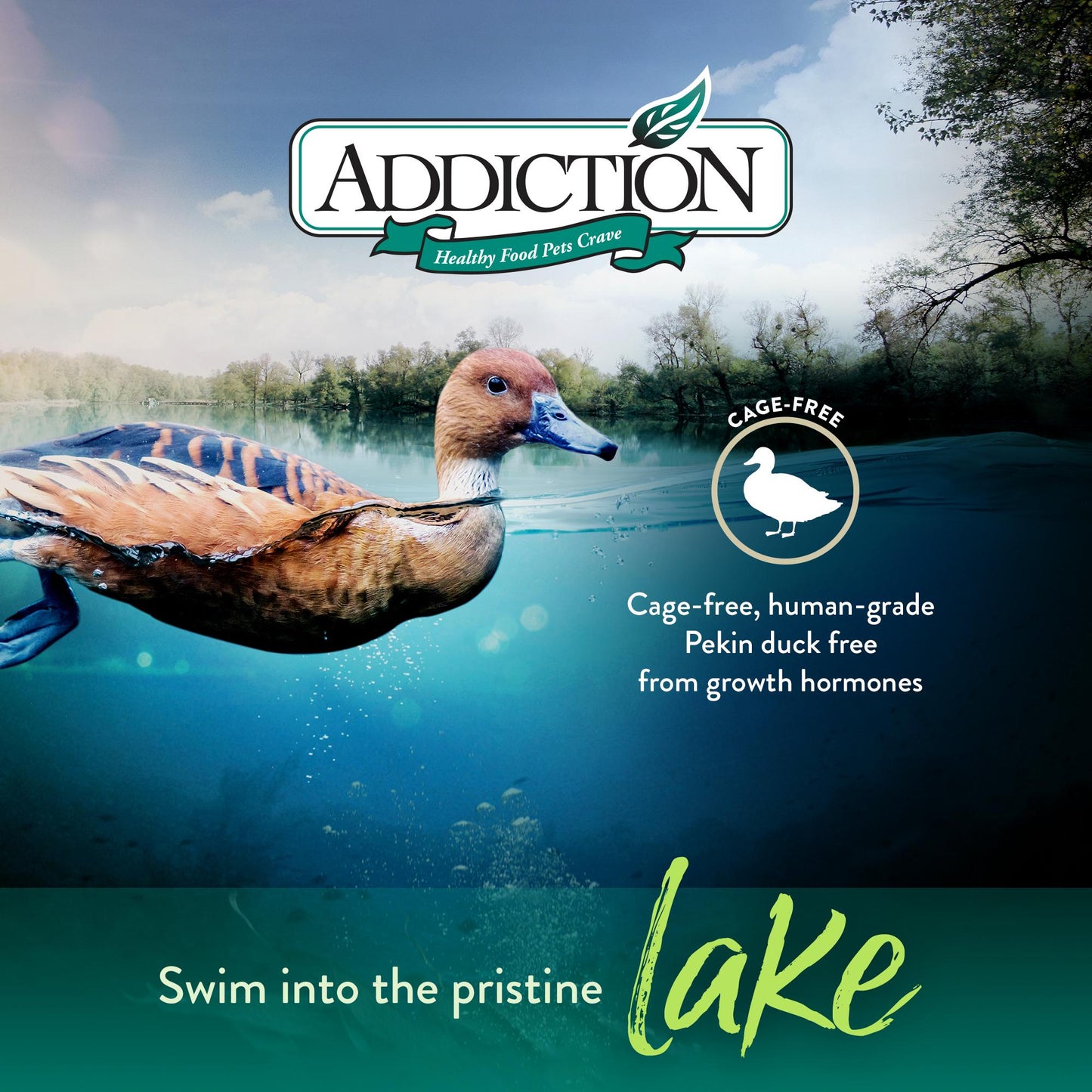 Addiction Duck Royale Entrée, Feline Beauty, Skin & Coat Dry Cat Food