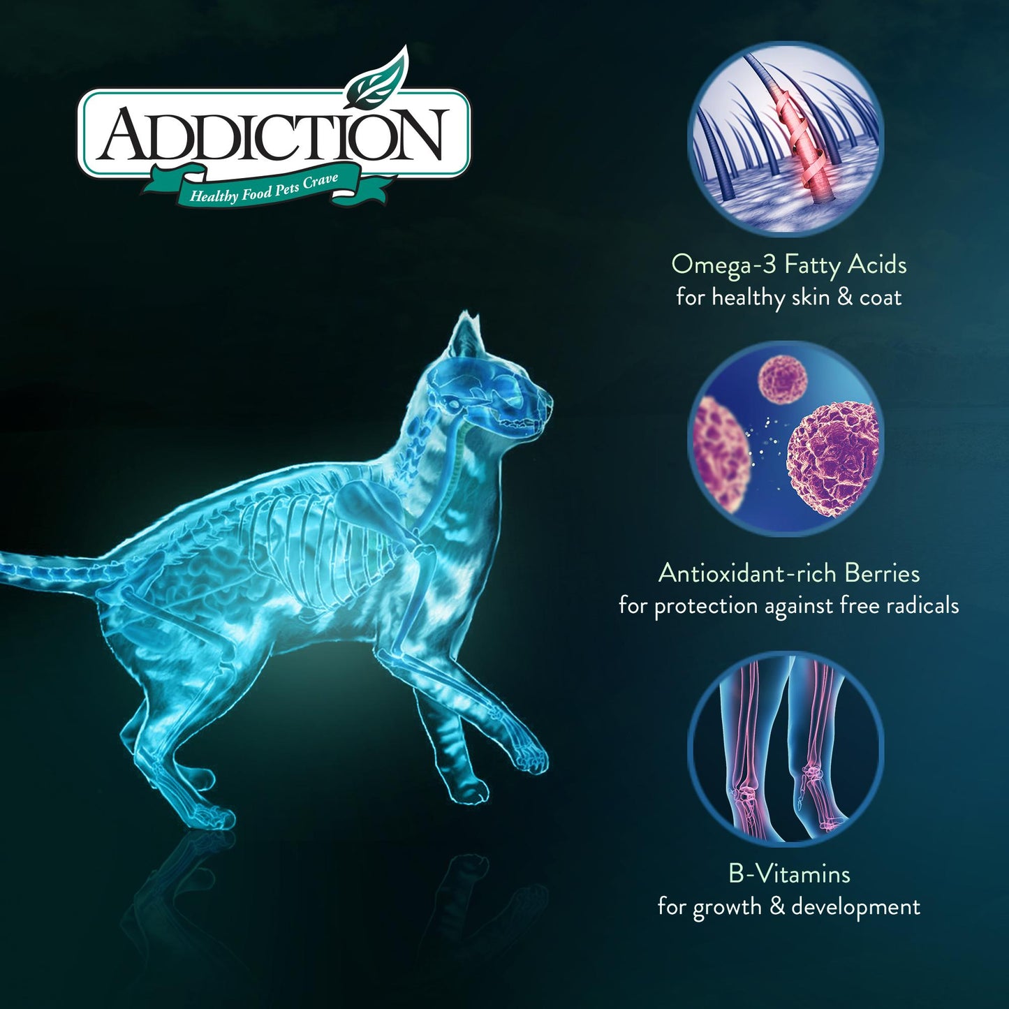 Addiction Duck Royale Entrée, Feline Beauty, Skin & Coat Dry Cat Food